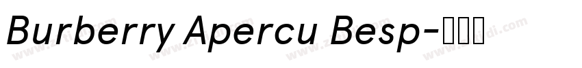 Burberry Apercu Besp字体转换